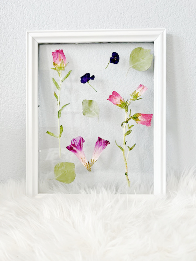 DIY Pressed Flower Art in a Picture Frame - My Uncommon Slice of